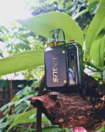 Argus P1 20 Watt