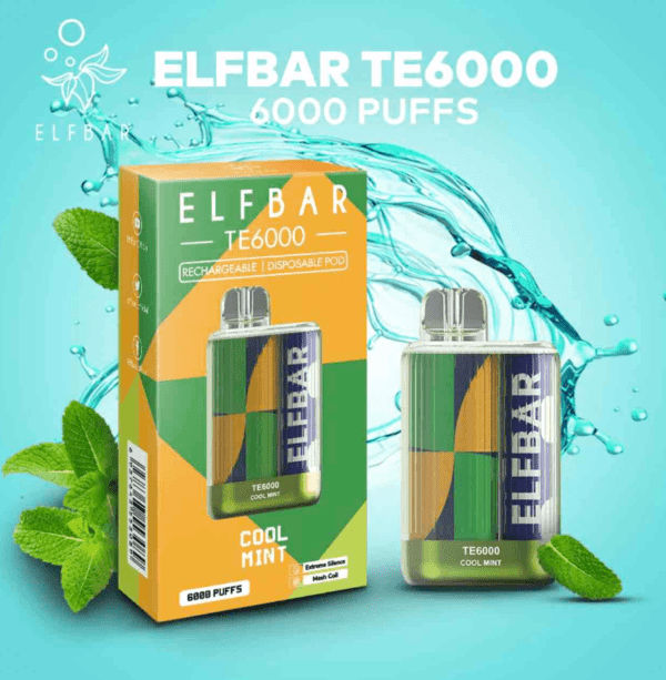 ELF BAR TE6000 DISPOSABLE VAPE – Cool Mint