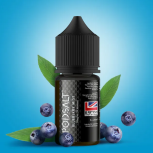 POD SALT BLUEBERRY MIST