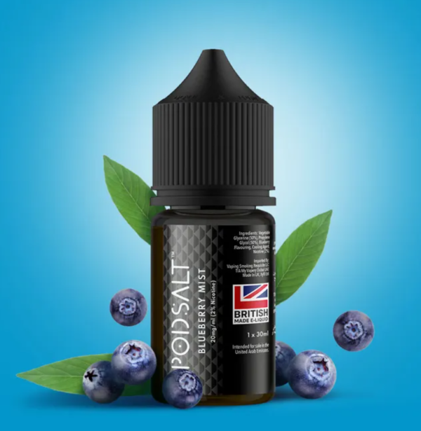 POD SALT BLUEBERRY MIST