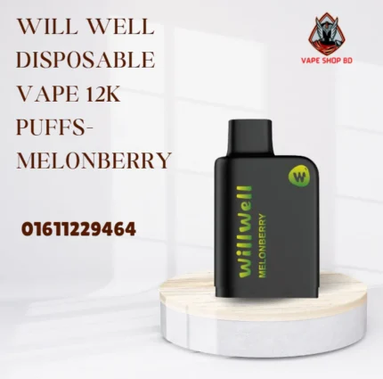 Will Well Disposable Vape 12K Puffs- MelonBerry